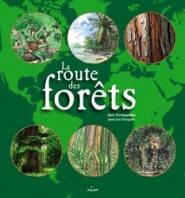routedesforets